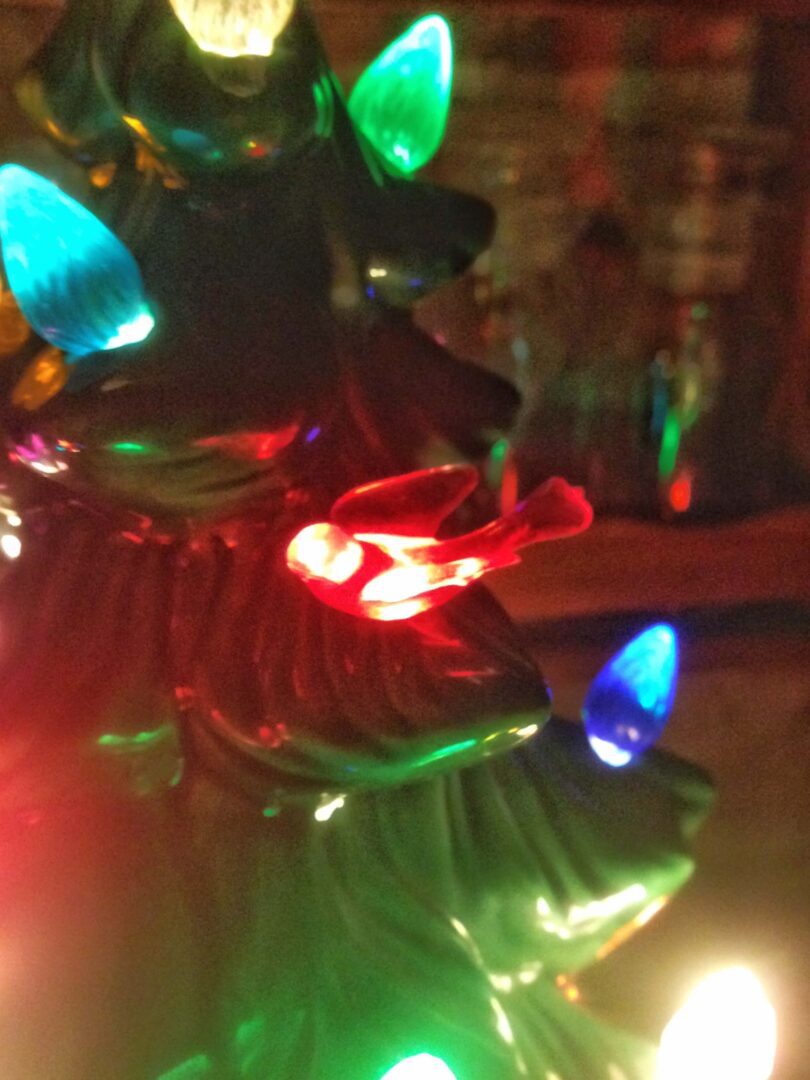 Colorful Christmas lights glowing on a tree branch at night.